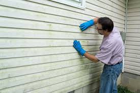 Affordable Siding Repair and Maintenance Services in Central, TN